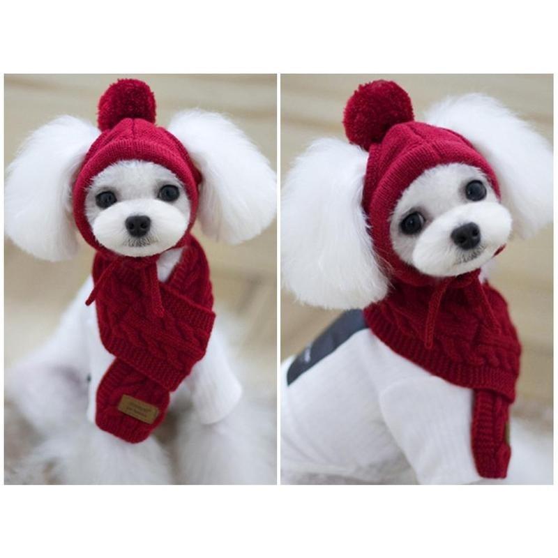 Haustier Hund Winter Warm Streifen Strickmütze + Schal Kragen Welpen Teddy Kostüm