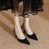 Sandals 2025 spring women's shoes children's spring French single shoes 2025 spring women's high heels black women's stiletto