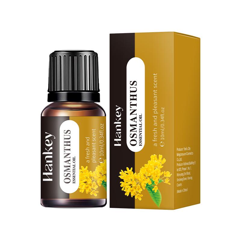 Long-lasting Aromatherapy Essential Oil Air Freshener