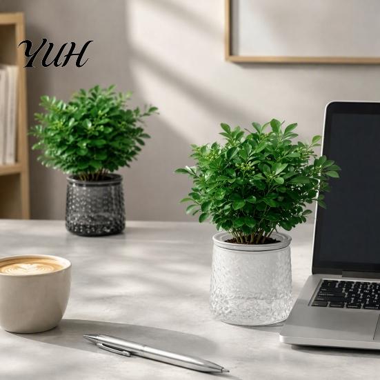 Modern Relief Pattern Planters Self?Watering Planter Pot, Thick Transparent Flower Embossed Desktop Vessels Decorative Indoor for Hydroponic