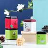 European Pastoral Style Mini Iron Box Easy-Carry Tin Cans Portable Tea Packaging Box