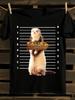 Funny Ferret Thief Mugshot-Style Tshirt