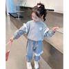 Girls Spring Autumn Fashion 2 Piece Set Long Sleeve Hoodie And Casual Pants Sporty Outfit For Toddler Kids