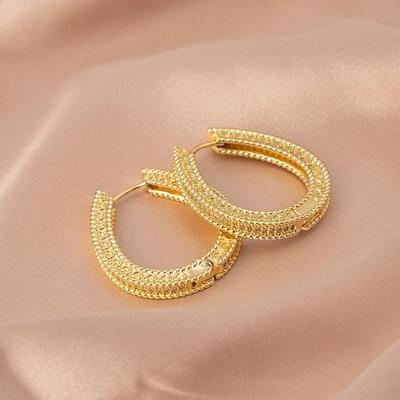 925 Silver Needle Large Women's Luxury Earrings - Niche Design, Exaggerated Square & Round Face Hoops