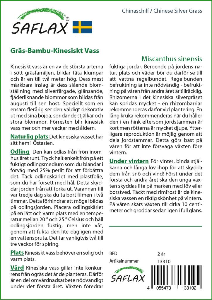 SAFLAX Stříbrná tráva čínská - 200 semen - Miscanthus sinensis