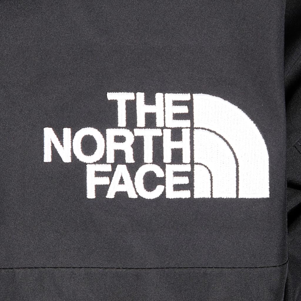 The North Face M GTX Mountain Jacket, Mens black Jacket
