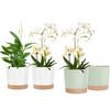 2Pcs Planters for Indoor Plants with Drainage Holes and Removable Base,Saucer Modern Decorative for Outdoor Garden Planters