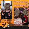 Unisex Gray Wolf Headbands and Tail Set for Kids Accessory for Halloweens Decoration and Birthday Party Costumes