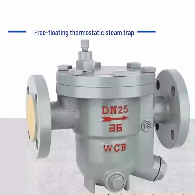 BENAGIL Stainless Steel Threaded Flange Drain Valve
