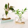 Wooden Stand Hydroponic Plants Container Transparent Glass Plants Glass Vase  Weddings
