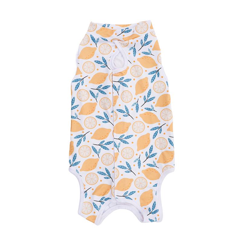 Kleidung zur Genesung nach einer Tieroperation: Katzen- und Hundebekleidung für alle Jahreszeiten