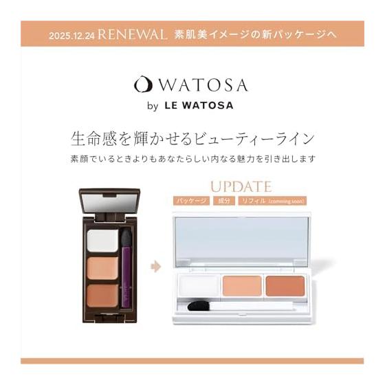 Concealer Highlight Dark Circles Stain Coverage [WATOSA Super Cover Foundation Potts N White Beige] Concealer Palette Foundation Watusa