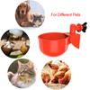 Chicken Water Feeder Automatic Filling Waterer Poultry Drinking Bowl For Chick Ducks Birds Turkeys Etc 12pcs Large Cups