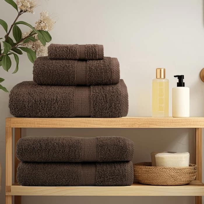 VidaXL Serviettes d'invité de Qualité Supérieure 4 pcs, Draps de Bain, Essuie-mains, Serviette de Visage Salle de Bain, 137231