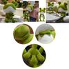 Adorable Soft Plush Frog Stuffed Animal Toy Ideal For Kids Bedtime Cuddly Pillow