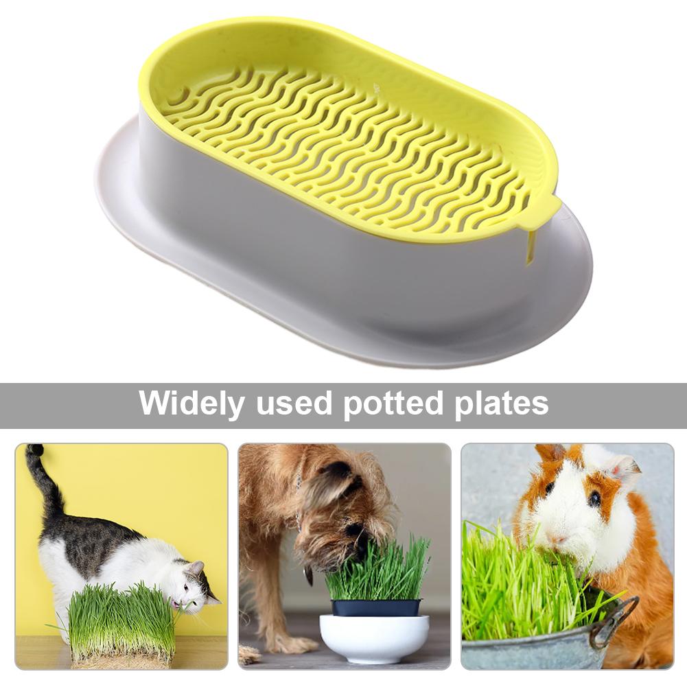 Cat Grass Planter Pet Cat Grass Digestion Growing Tray Cat Grass Box Plastic Nursery Plant Planting Box Hydroponic Pot Grow Box