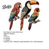 Decorative Toucan Parrot Prints 3Pcs Tropical Bird Wooden Wall Decor, 2D Flat Wood Outdoor Courtyard Decoration Art, Colorful Animal Ornament