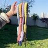 Dopamine Dog Leashes Durable Pet Supplies Summer Dog Traction Rope  Outdoor
