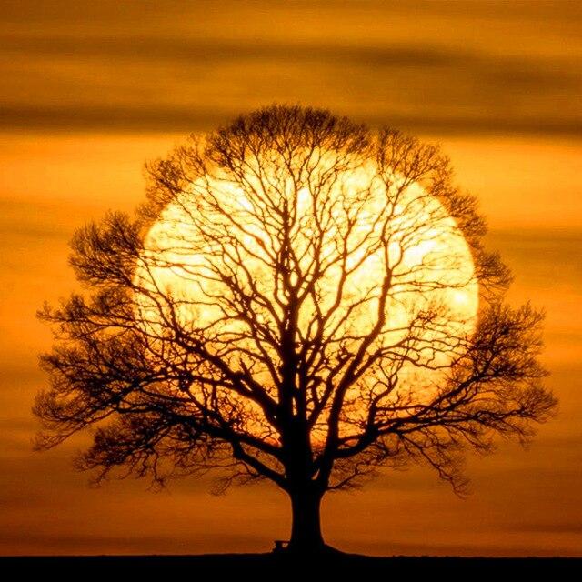 Full Square 5D Diamond Painting Eagle DIY Diamond Embroidery Animal Rhinestone Picture Cross Stitch Decoration