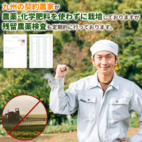 NICHIGA Pure Japanese Kale Green Juice, 1kg, Grown by Contract Farmers Without Pesticides or Chemical Fertilizers, No Preservatives, Colors, or Flavor