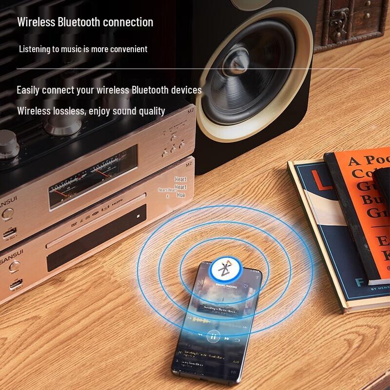 ShanShui M2 HiFi CD/DVD Tube Amplifier System CN Plug (adapter Included)