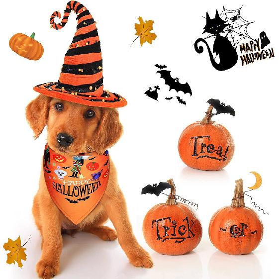 Halloween cute pet bandana, customizable with your own design, HALLOWEEN pattern triangle bandana