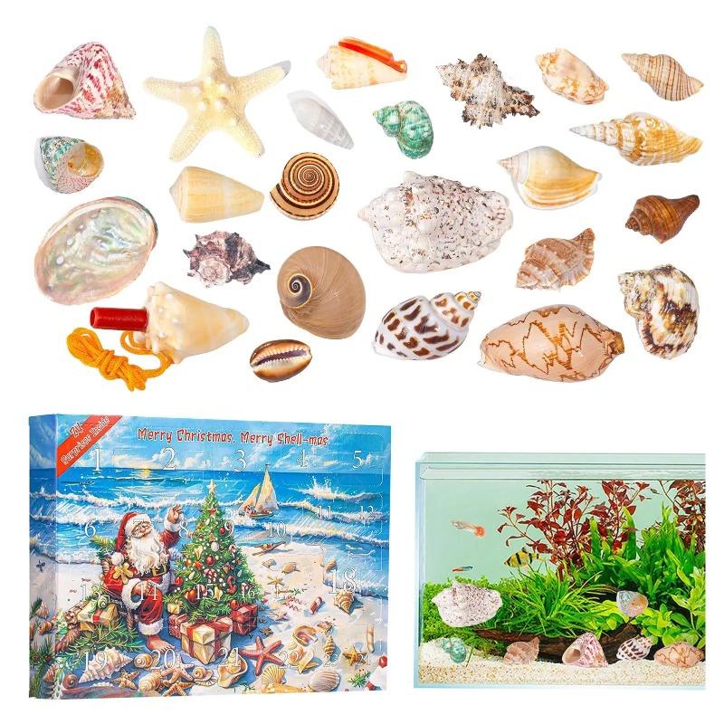 2025 Seashells Advent Calendar,24 Days of Christmas Countdown Toys Learning Collection Seashells Model for Kids Adults
