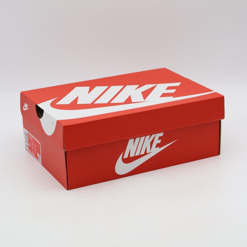 HQ7901-112 Nike V5 RNR White Metallic Platinum (Women's)