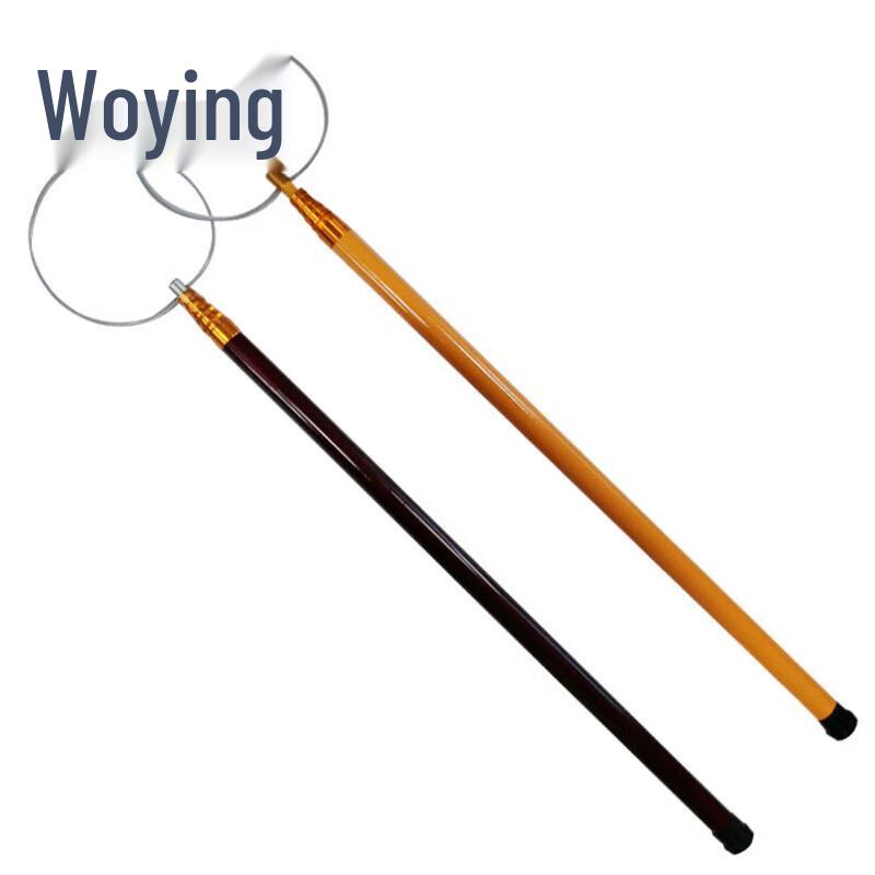 WoYing Telescopic Swimming Pool Rescue Pole with Ring 5.5m