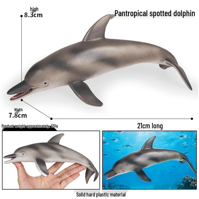 Large Marine Animal Simulation Model: Spotted, Striped, and Bottlenose Dolphin Cognitive Toy for Children