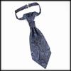 [White Fang] Paisley Pattern Elegant Tie, Business Casual Fashion, Stylish Men's NC069 (Wine)