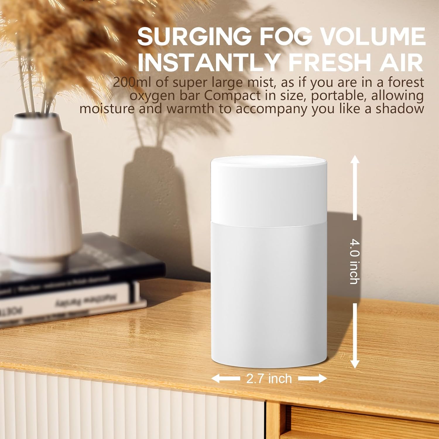 

Portable USB Humidifier, 200ml, Quiet Desktop for Car, Office, Bedroom, Auto Shut-Off, 2 Mist Modes United States
