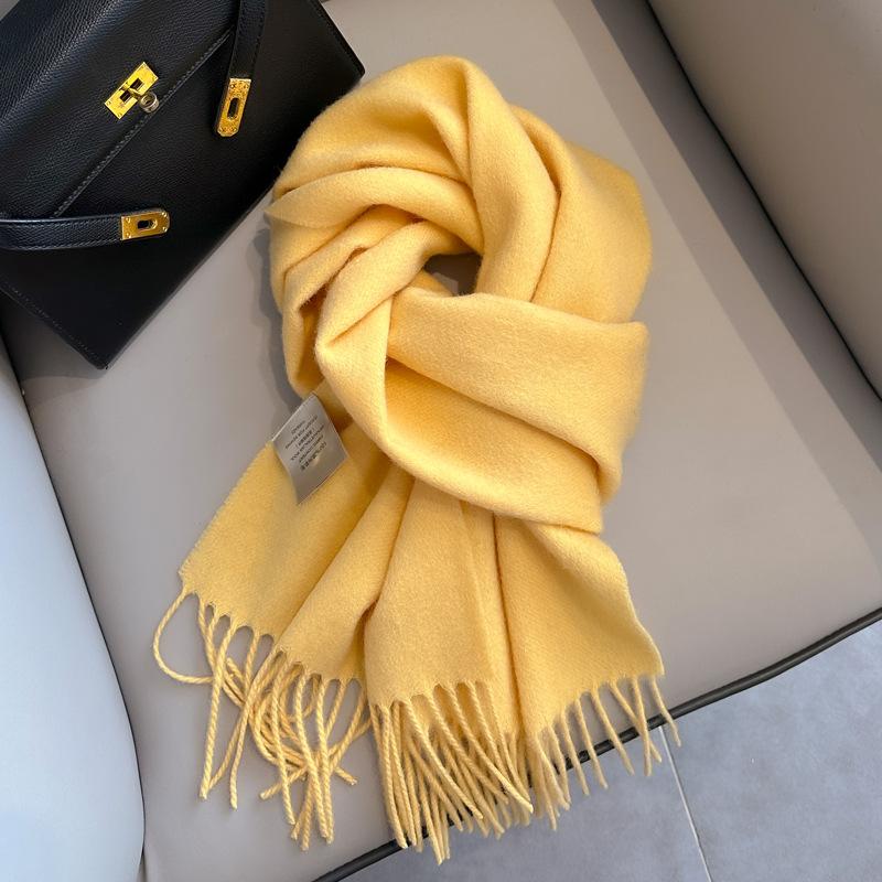 Autumn and winter warm new cashmere scarf couple tassel shawl fashion casual scarf premium