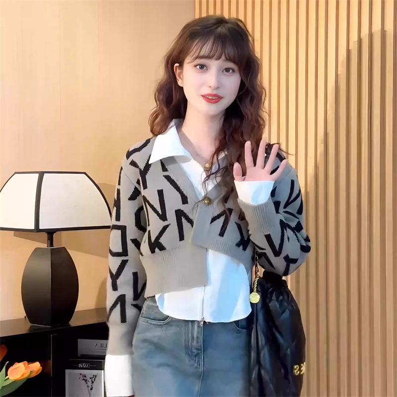 

Гонконгский трикотажный кардиган с V-образным вырезом, имитирующий двойку - Женская мода осени 2024 One Size