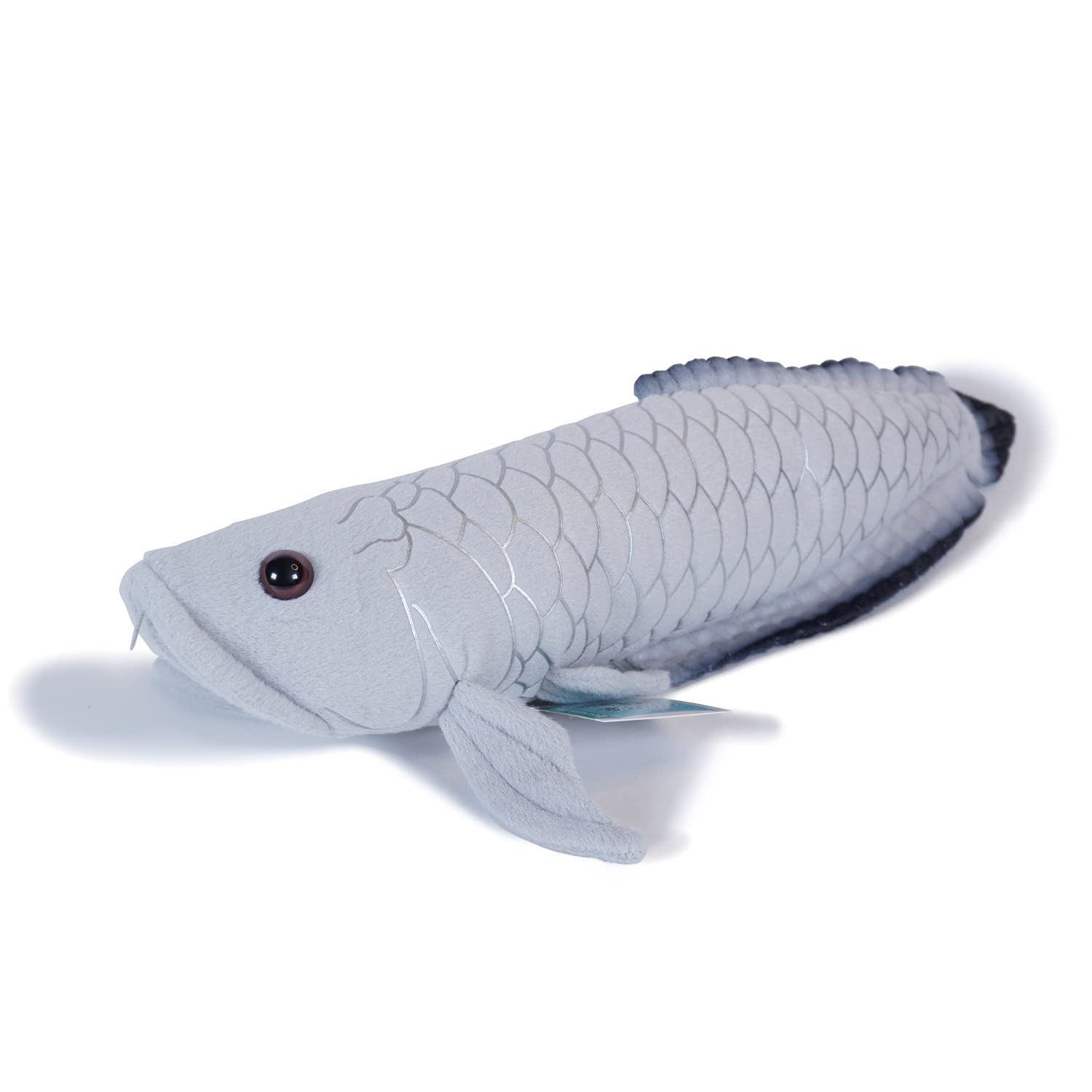 

TST Advanced Exciting Picture Book Серебряная Арована 35см Freshwater