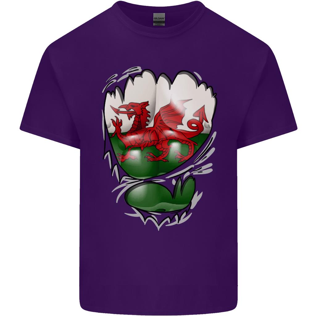 Gym The Welsh Flag Ripped Muscles Wales Unisexs Light Cotton TShirt
