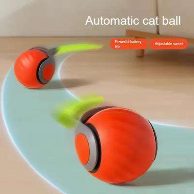 Köpek – Köpek oyuncakları