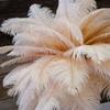 10PCS Colored Ostrich Feathers 15-60cm for Crafts Carnival Wedding DIY Table Center Decor Fluffy Ostrich Plumas Accessories Bulk
