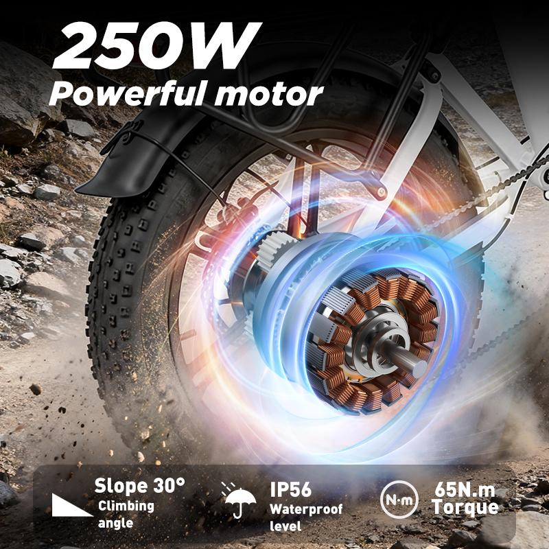 PULUMA FM2.0 Bicicletta Elettrica Pieghevole 48V15AH Batteria al Litio Rimovibile Ruota Fat 20x4.0 per Tutti i Terreni 7 Velocità Freno Idraulico 250W Ebike per Adulti