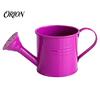 Ergonomic Handle Pouring Tool Metal Watering Can for Outdoor Plants, Small Kettle with Colorful Iron Floral Container Succulents Garden Flowers,