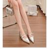 Niche pointed silver single shoes low heel Mary Jane women's shoes 3 cm small heels thick heel high heels French shoes
