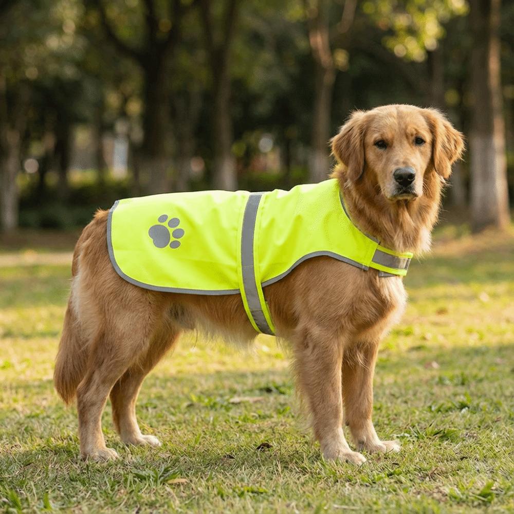 Reflective Dog Safety Vest Breathable Bright Orange Puppy Visibility Jacket Comfortable Protective Pet Fluorescent Clothes