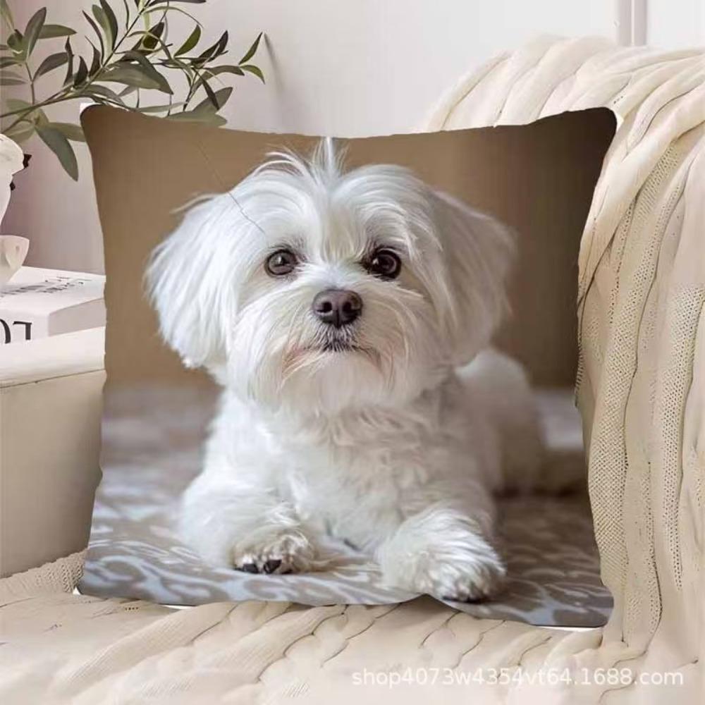 Sofa Pillow Pillowcase Skin-friendly Short Plush Cute Animal Cat Pillow Cover Living Room Cushion Cover Without Core