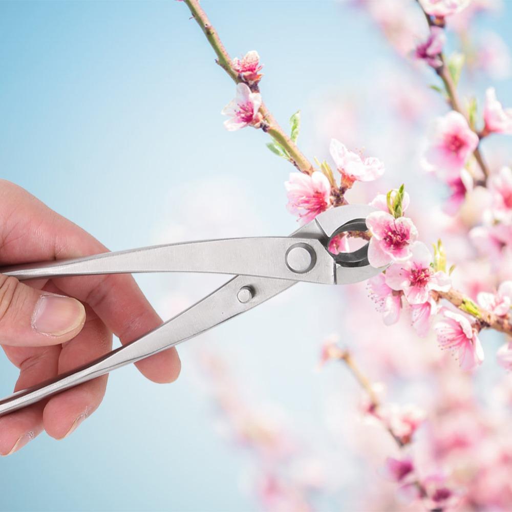 Stainless Steel Branch Cutter Ergonomic Handle Bonsai Scissors Professional Knob Cutter