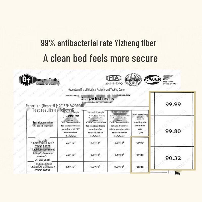 Mengjie A-Class Antibacterial Thick Soybean Fiber Winter Duvet