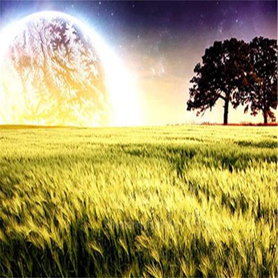 CD SHU-I << VV LIMITED >> - STAR LIGHT  RRCD85384 Japan Musik Sonstige Gebraucht