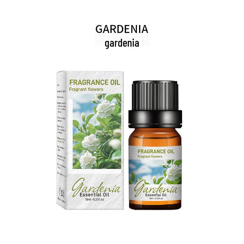 10ML Essential Oil Diffuser & Refill – Stone Aroma Machine with Long-Lasting Deodorizing Fragrance