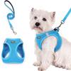 1PC Walk-in Dog Chest Strap and Leash Set, All-weather Breathable Mesh, Reflective, Soft and Lightweight Pet Vest