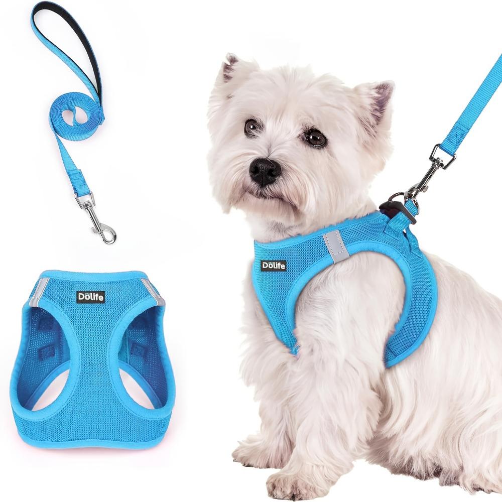 1PC Walk-in Dog Chest Strap and Leash Set, All-weather Breathable Mesh, Reflective, Soft and Lightweight Pet Vest