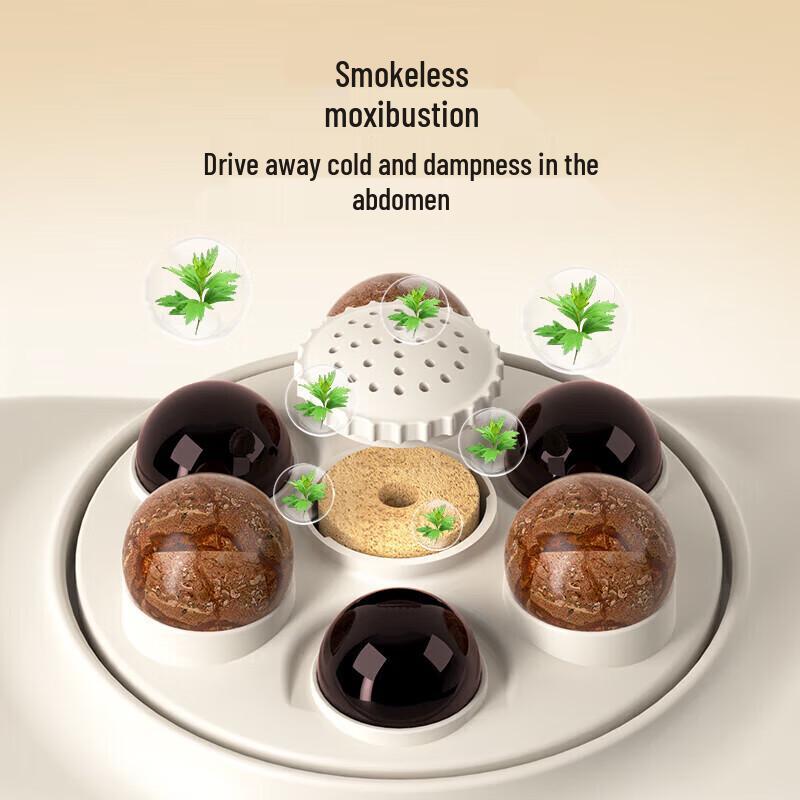 CLORIS Waist and Abdominal Massager with Moxibustion